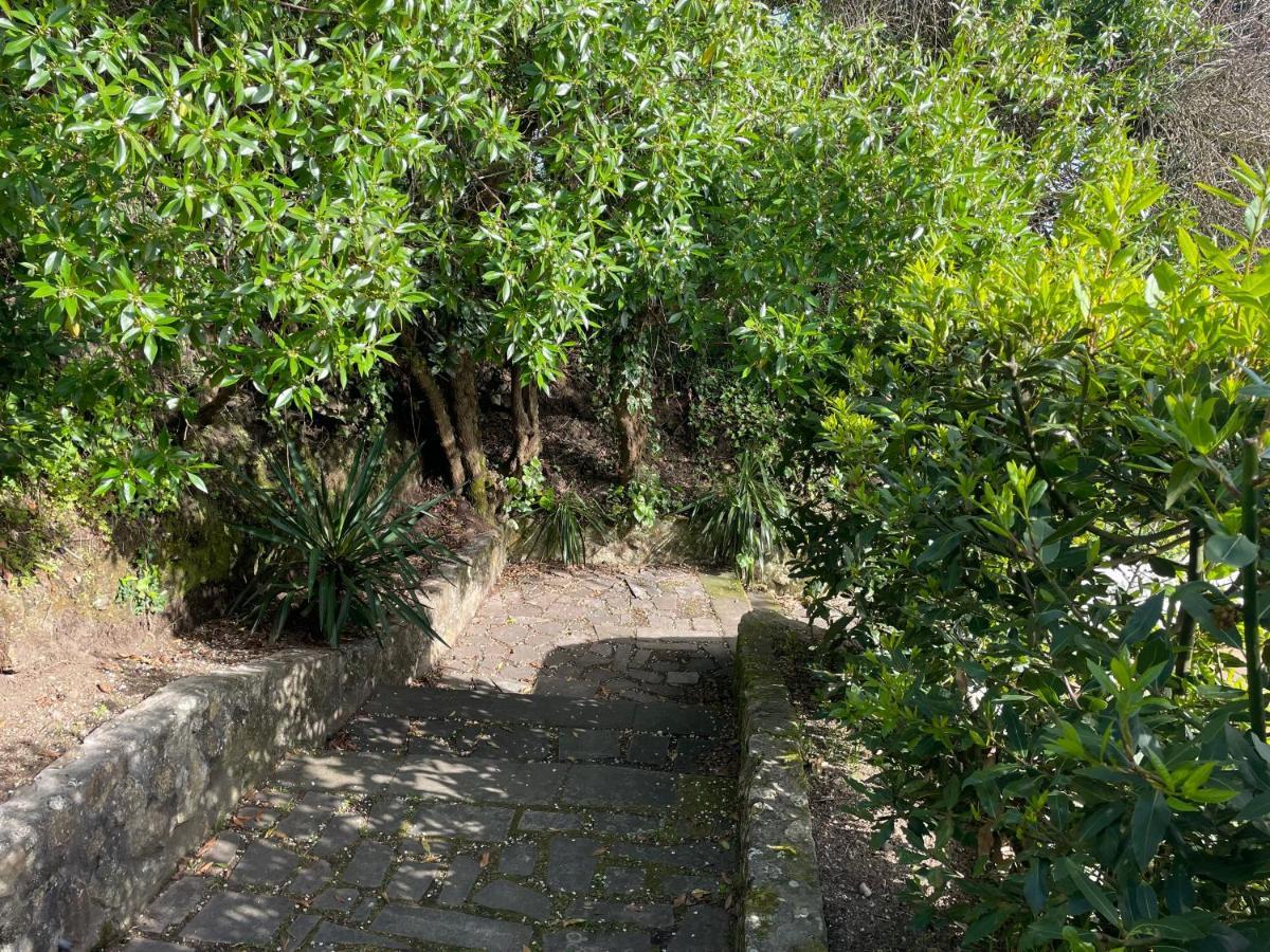 Villa En Playa Limens Cangas do Morrazo Εξωτερικό φωτογραφία